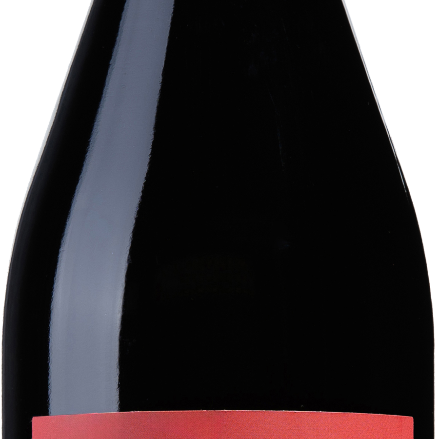 Valpolicella Ripasso DOC