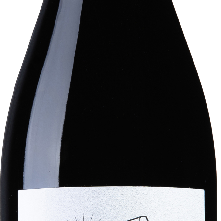 Cabernet Franc IGT Trevenezie