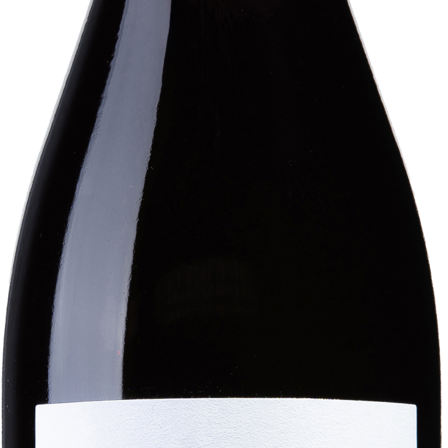 Pinot Nero IGT Trevenezie