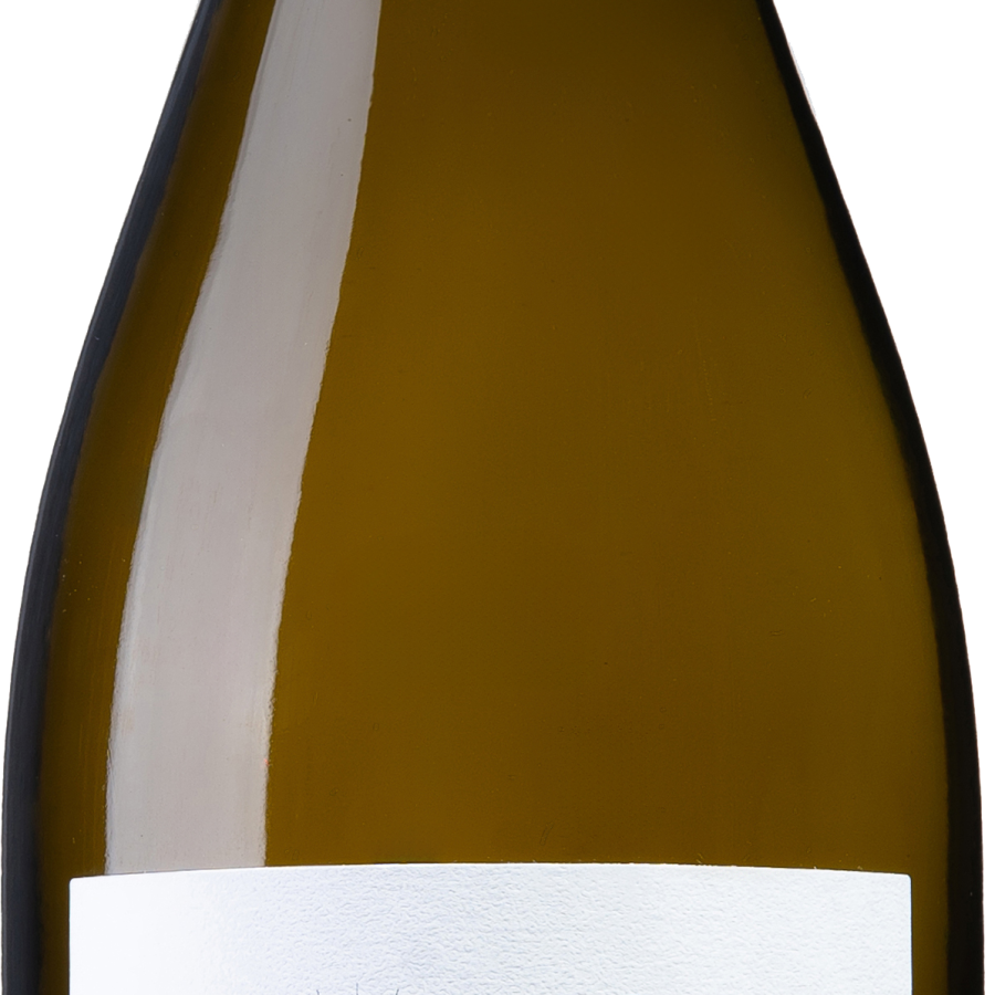 Sauvignon IGT Trevenezie